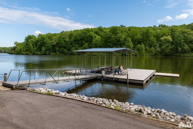 360 Clifty Ln, Goreville, IL 62939 - photo 36