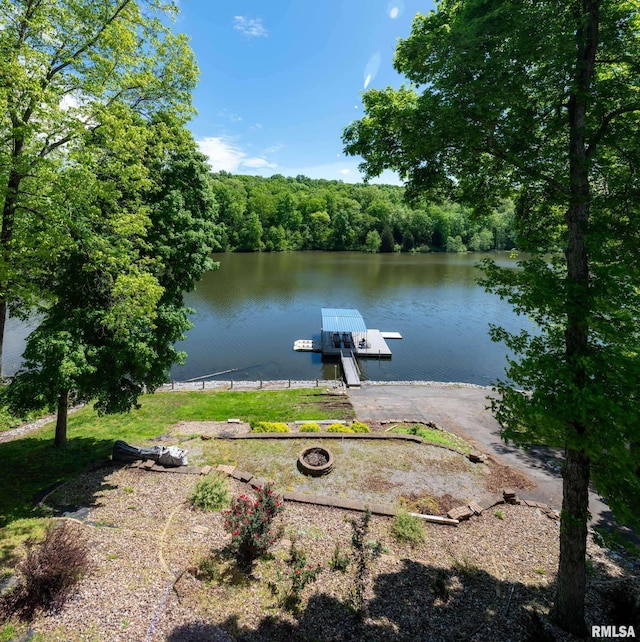 360 Clifty Ln, Goreville, IL 62939 - photo 38