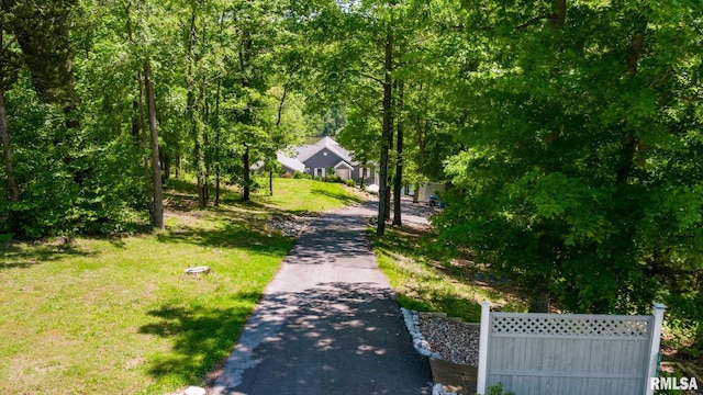 360 Clifty Ln, Goreville, IL 62939 - photo 43