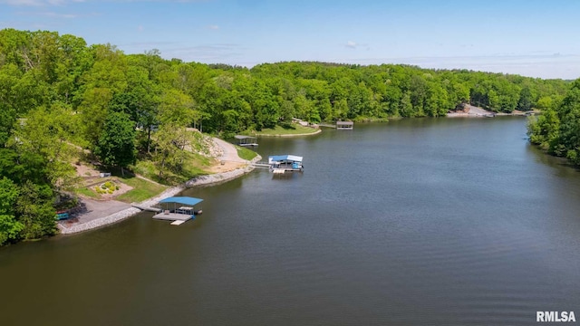 360 Clifty Ln, Goreville, IL 62939 - photo 44