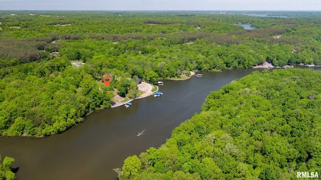 360 Clifty Ln, Goreville, IL 62939 - photo 47