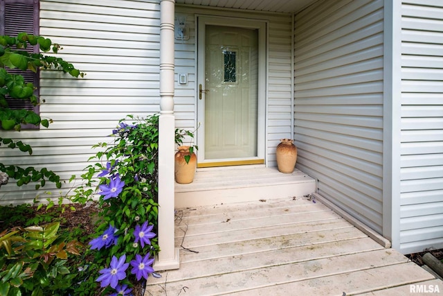 6868 Rte 37, Marion, IL 62959 - view of doorway to property