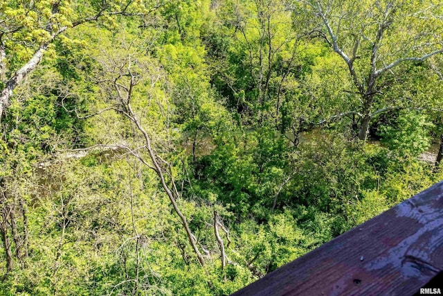 exterior view of a view of trees
