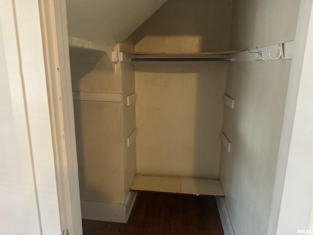walk in closet featuring wood finished floors