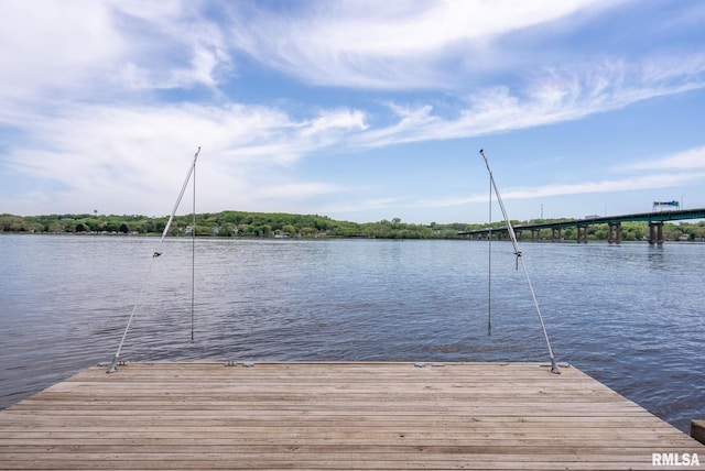 1401 SW Canal Shore Dr, Le Claire, IA 52753 - photo 38