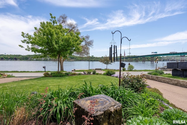 1401 SW Canal Shore Dr, Le Claire, IA 52753 - photo 39