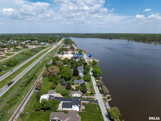 1401 SW Canal Shore Dr, Le Claire, IA 52753 - photo 54