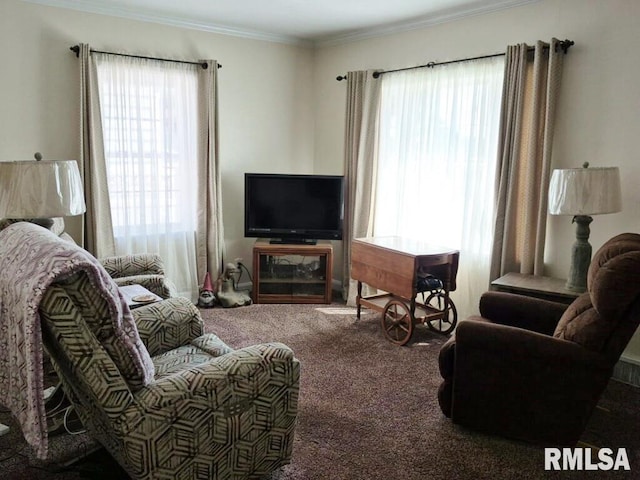 carpeted living area featuring crown molding