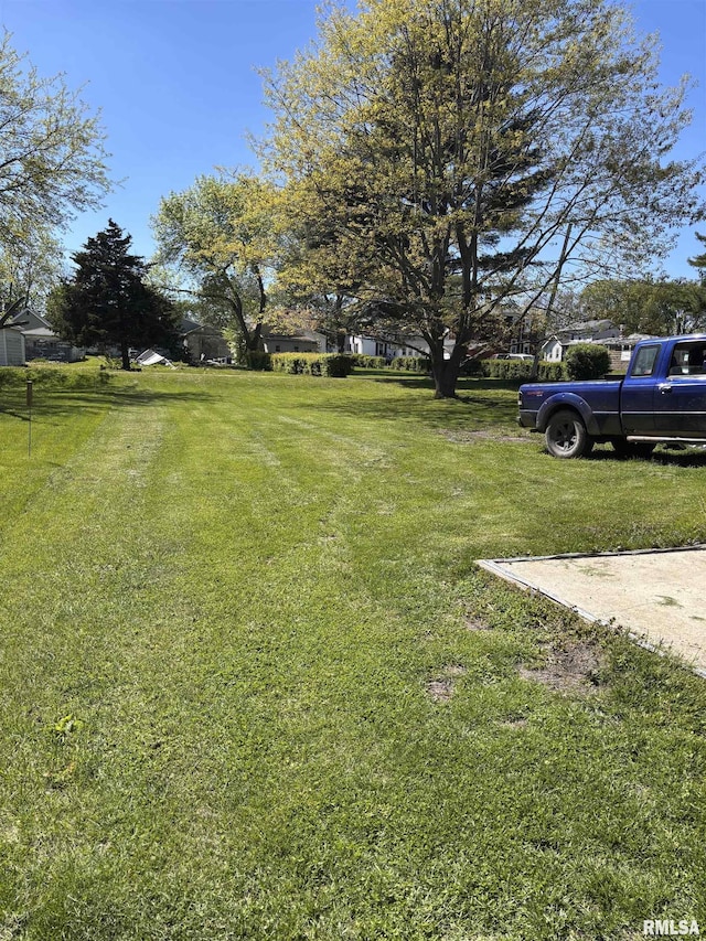 451 S Grove St, Kewanee, IL 61443 - view of green lawn