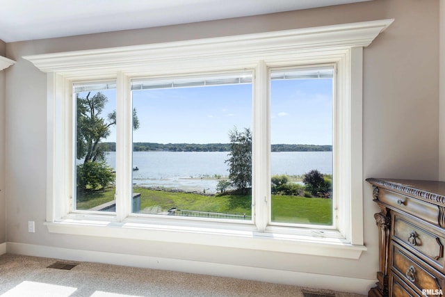 24711 178th St, Pleasant Valley, IA 52767 - water view