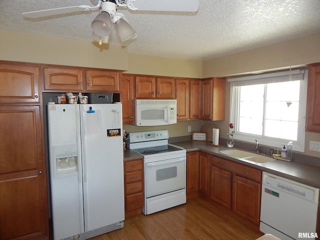 kitchen featuring white appliances, a sink, wood finished floors, a textured ceiling, and brown cabinets