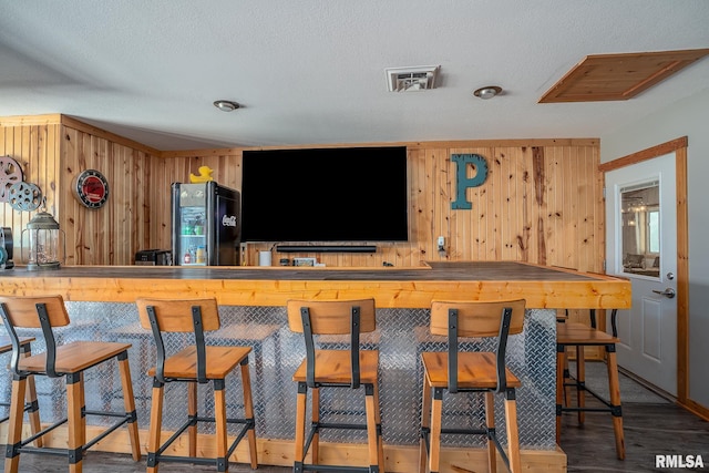1012 Viaduct Rd, Savanna, IL 61074 - bar area featuring freestanding refrigerator, wood walls, wood finished floors, and a textured ceiling