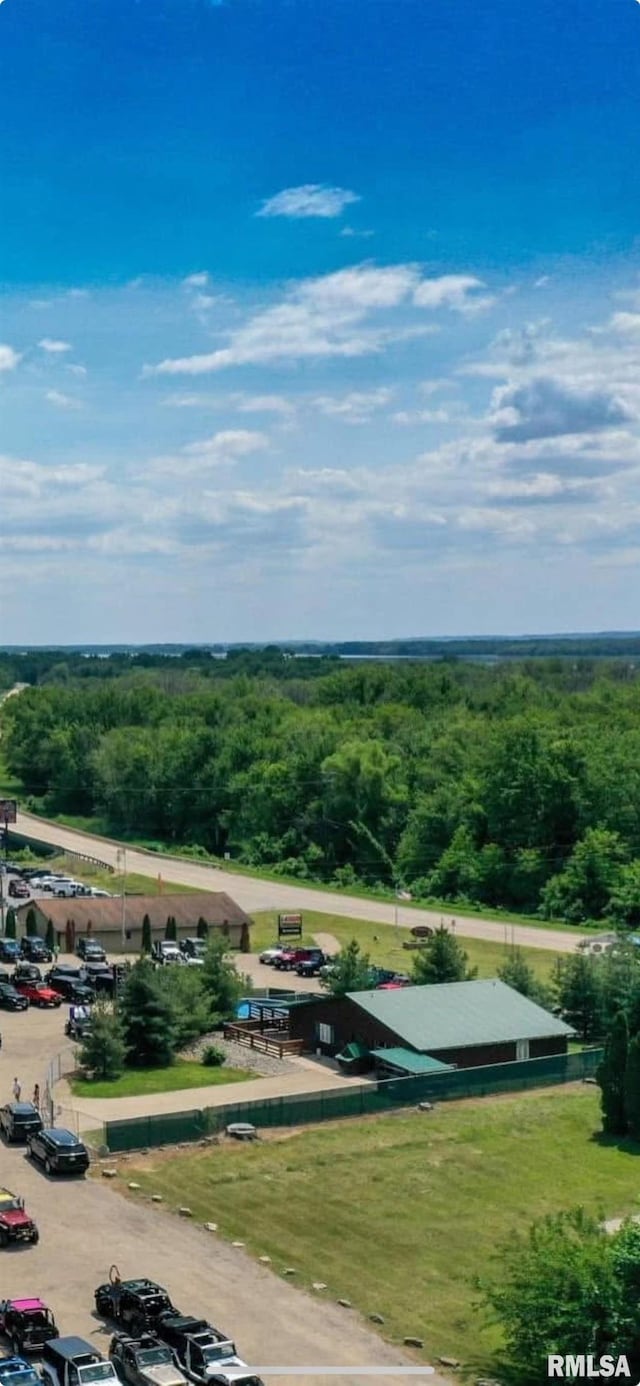 1012 Viaduct Rd, Savanna, IL 61074 - bird's eye view of a heavily wooded area