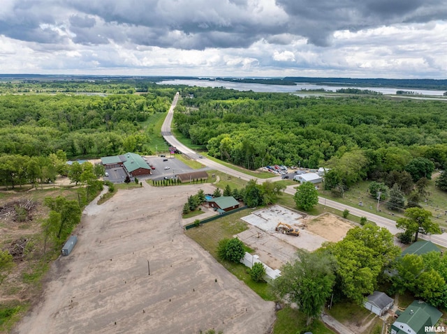 1012 Viaduct Rd, Savanna, IL 61074 - drone / aerial view of a large body of water and a heavily wooded area