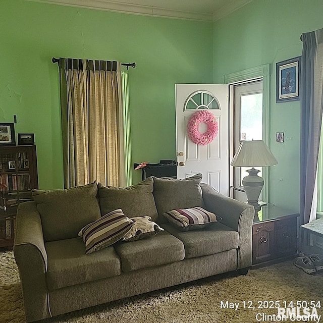 living room with crown molding
