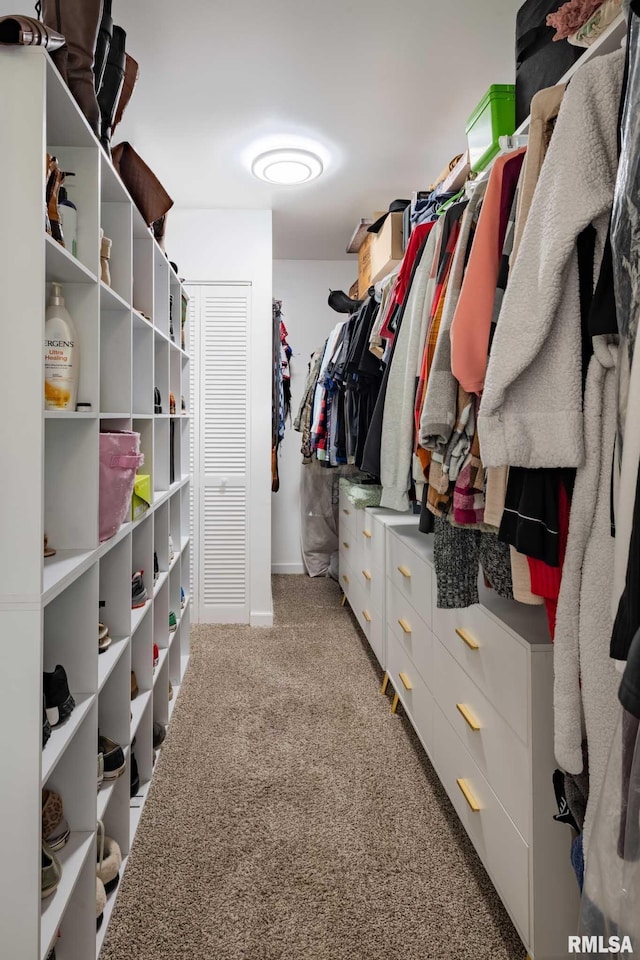 6443 Roberts Rd, Marion, IL 62959 - spacious closet with light carpet