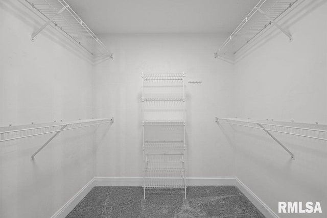 3217 Arlington Cir, Davenport, IA 52803 - walk in closet featuring carpet floors