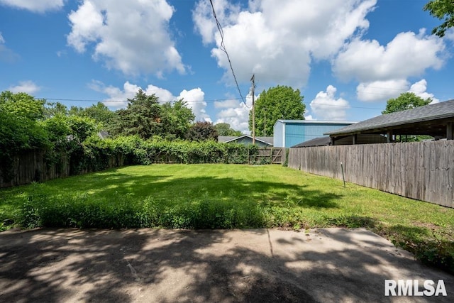 613 N 29th St, Herrin, IL 62948 - view of yard