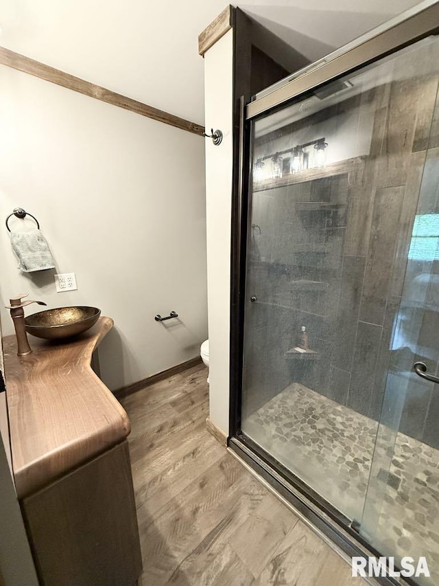285 Twin Lake, Springs Lake, Anna, IL 62906 - bathroom featuring a stall shower, toilet, vanity, and baseboards