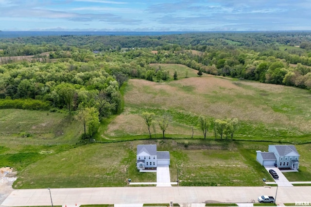 4625 W 11th St, Davenport, IA 52804 - bird's eye view of a forest