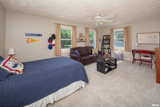 1220 38th Avenue Ct, Rock Island, IL 61201 - bedroom featuring multiple windows, carpet flooring, baseboards, and a ceiling fan
