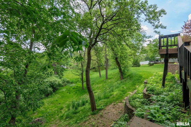 2906 27th Ave Unit A, Moline, IL 61265 - photo 45