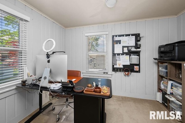 2544 E St, Davenport, IA 52803 - home office featuring a decorative wall, carpet, and crown molding