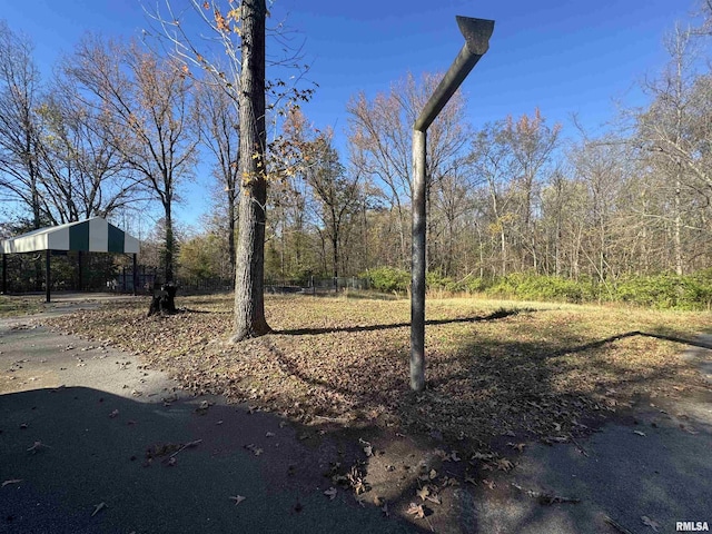 000 Delaware Rd, Carbondale, IL 62901 - photo 3