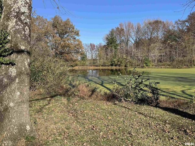000 Delaware Rd, Carbondale, IL 62901 - photo 7