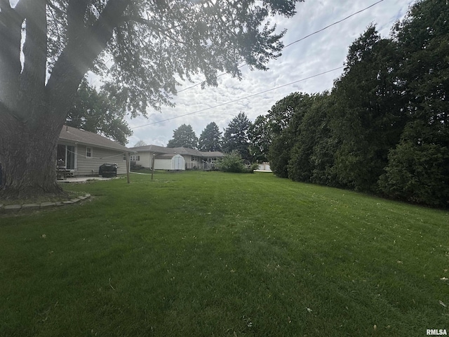 view of grassy yard with a storage unit, an outdoor structure, and a patio area
