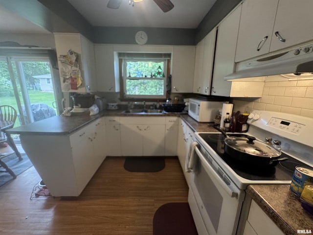kitchen featuring white appliances, under cabinet range hood, a sink, and plenty of natural light