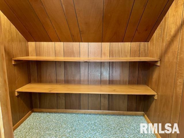 1003 16th Ave N, Clinton, IA 52732 - sauna with carpet, wood walls, and wood ceiling