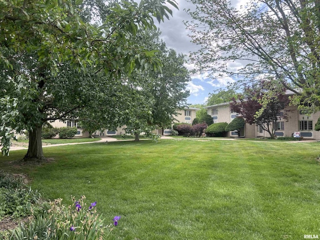 920 17th St Unit 28, Moline, IL 61265 - view of grassy yard