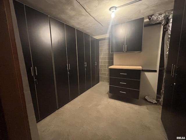 920 17th St Unit 28, Moline, IL 61265 - view of walk in closet