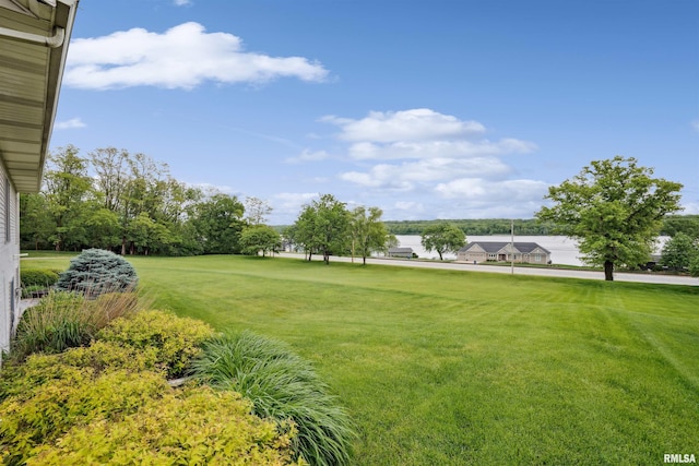 23835 284th Ave, Le Claire, IA 52748 - view of green lawn
