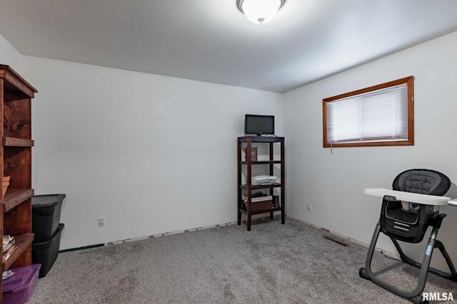 324 N Broadway, Goreville, IL 62939 - office area with carpet floors
