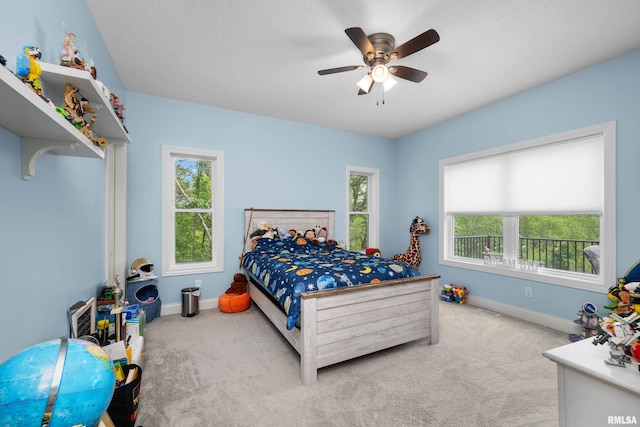 10027 115th St W, Andalusia, IL 61232 - photo 20