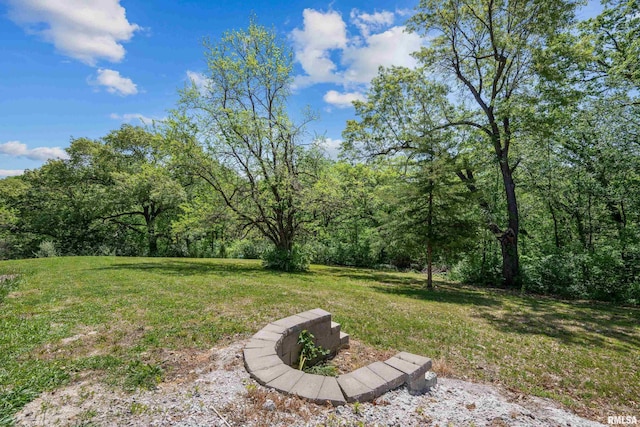 10027 115th St W, Andalusia, IL 61232 - photo 60