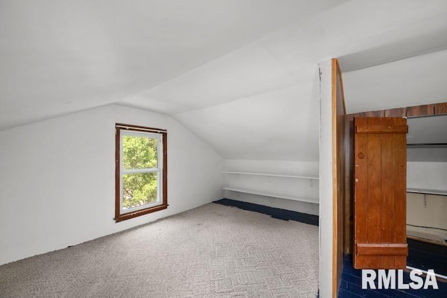 824 S State St, Geneseo, IL 61254 - bonus room with carpet flooring and lofted ceiling