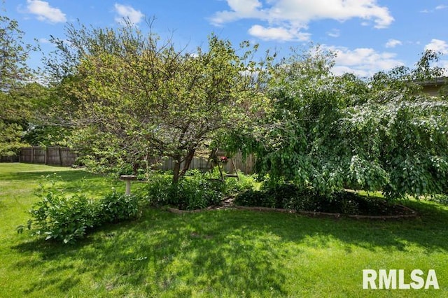 824 S State St, Geneseo, IL 61254 - view of yard