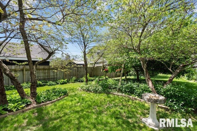 824 S State St, Geneseo, IL 61254 - view of yard