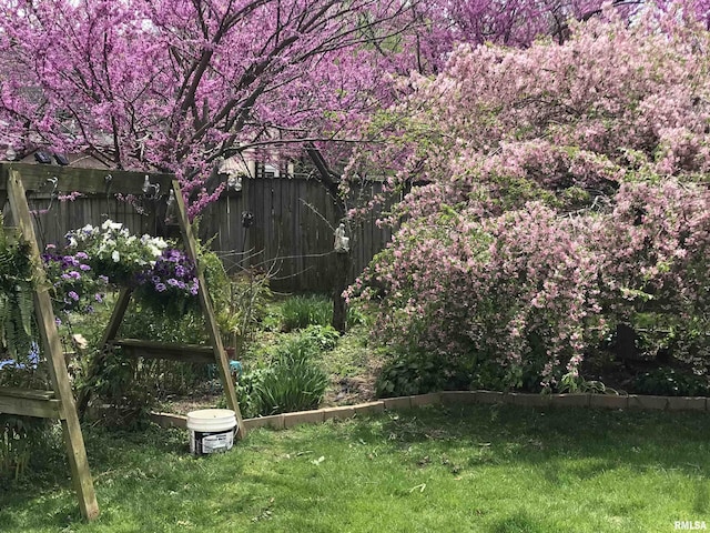 824 S State St, Geneseo, IL 61254 - view of yard