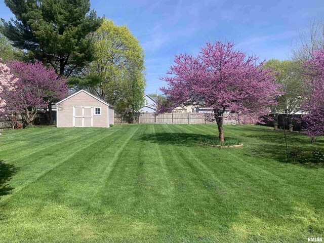 824 S State St, Geneseo, IL 61254 - view of yard featuring a shed and an outdoor structure