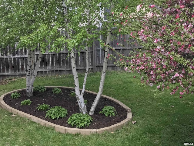 824 S State St, Geneseo, IL 61254 - view of yard