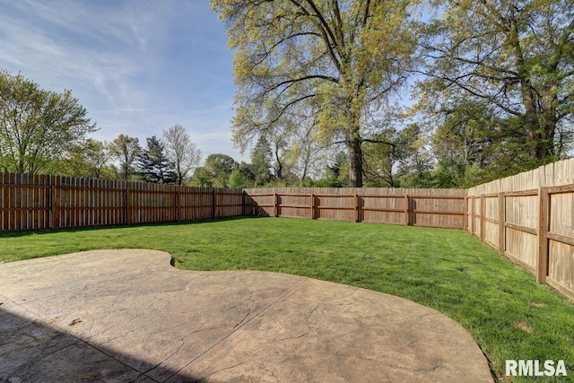 view of yard with a patio area
