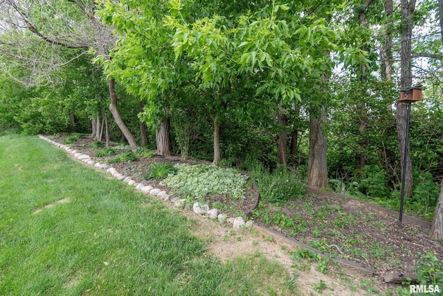 11 Musket Ct, Le Claire, IA 52753 - view of green lawn