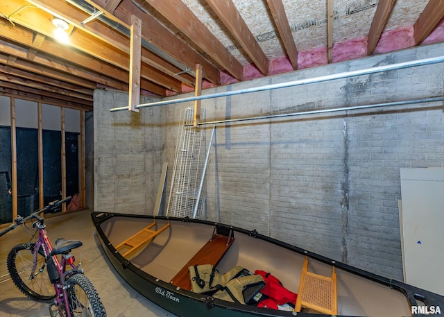 10 Lighthouse Ln Unit 10, Hampton, IL 61256 - view of unfinished below grade area