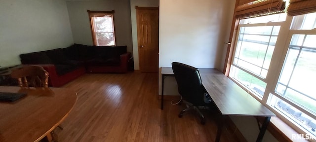 601 E St S, Kewanee, IL 61443 - office space with light wood-type flooring and healthy amount of natural light