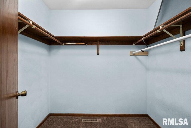 5117 Woodland Ave, Davenport, IA 52807 - walk in closet featuring carpet flooring