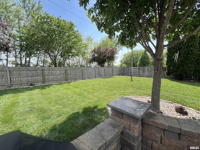 1005 17th St, Port Byron, IL 61275 - view of yard